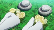 Sayo and Ieyasu's graves