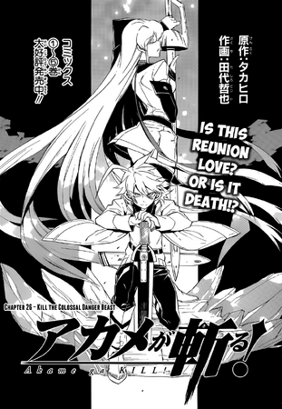 Akame ga kill The Anime With Esdeath in it 