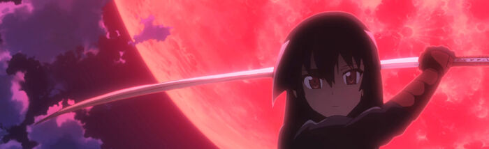 Akame Banner 1