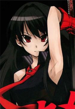 Akame/Manga | Akame Ga Kill! Wiki | Fandom