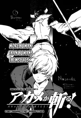 Chapter 43 Cover