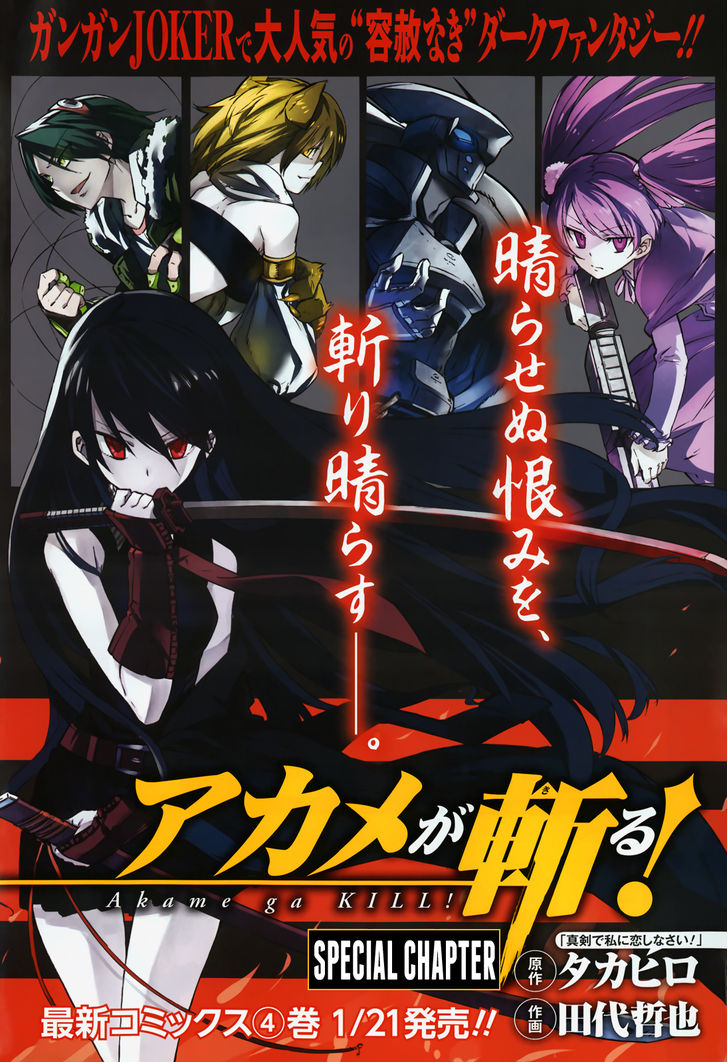 Akame ga Kill Red Eyes Sword Anime Poster for Sale by Anime Store