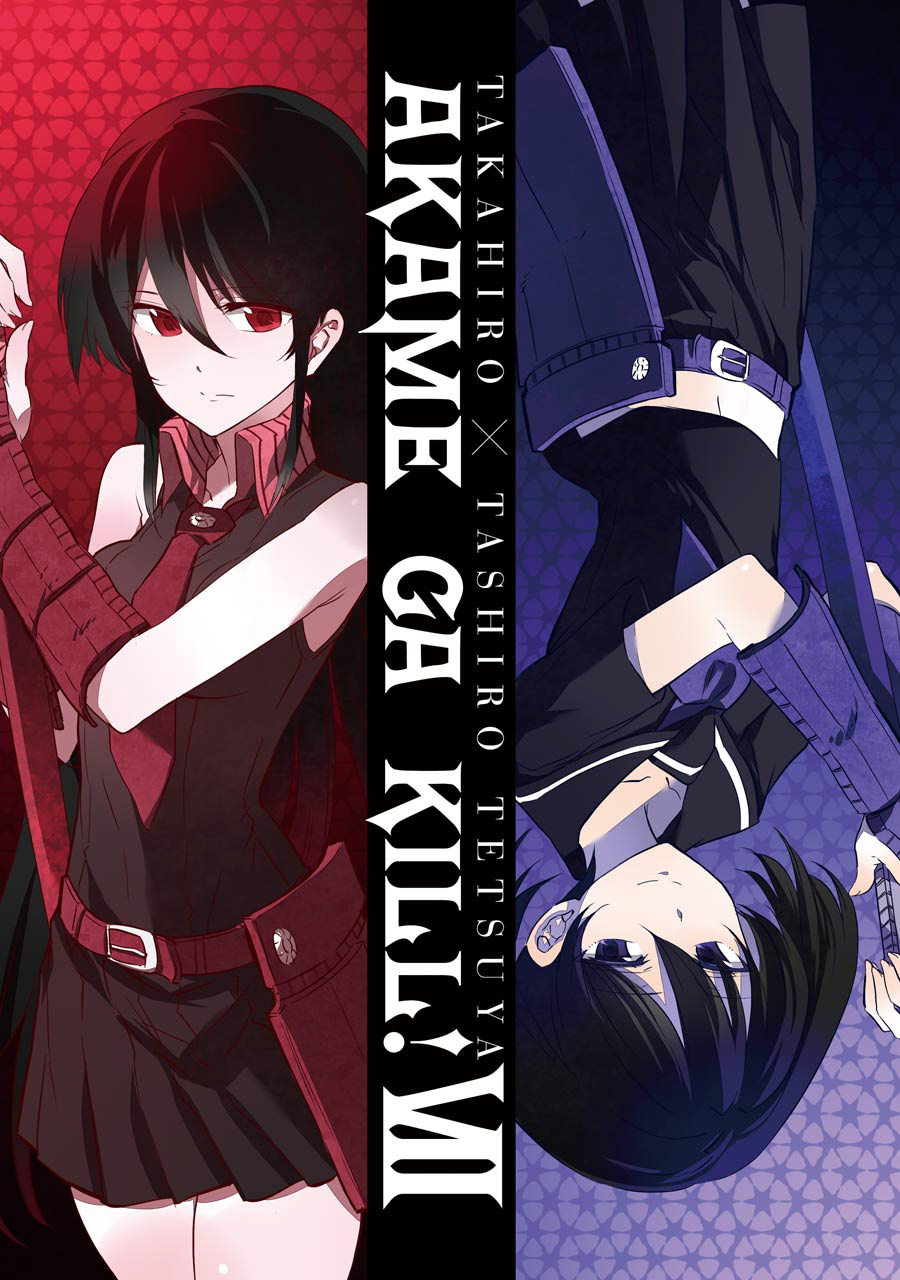 V7377 Akame Ga Kill Night Raid Characters Anime Manga Art WALL POSTER PRINT