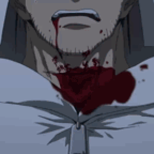 >Akame Animated Gifs Akame Ga Kill Wiki Fandom