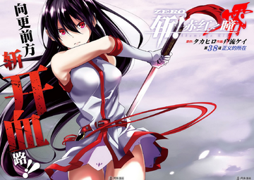 Akame~Akame ga Kill Zero  Anime warrior girl, Anime warrior