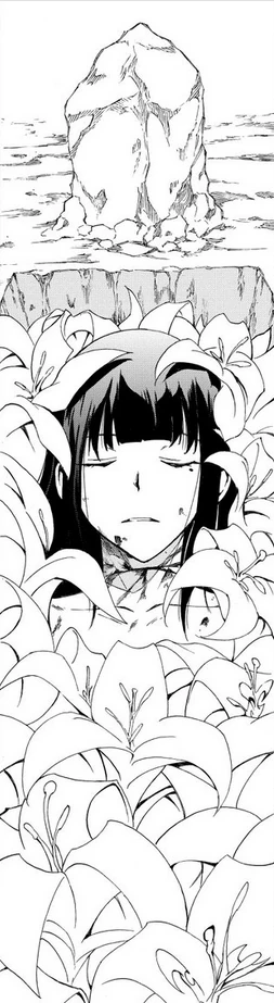 Merraid Oarburgh Akame Ga Kill Wiki Fandom