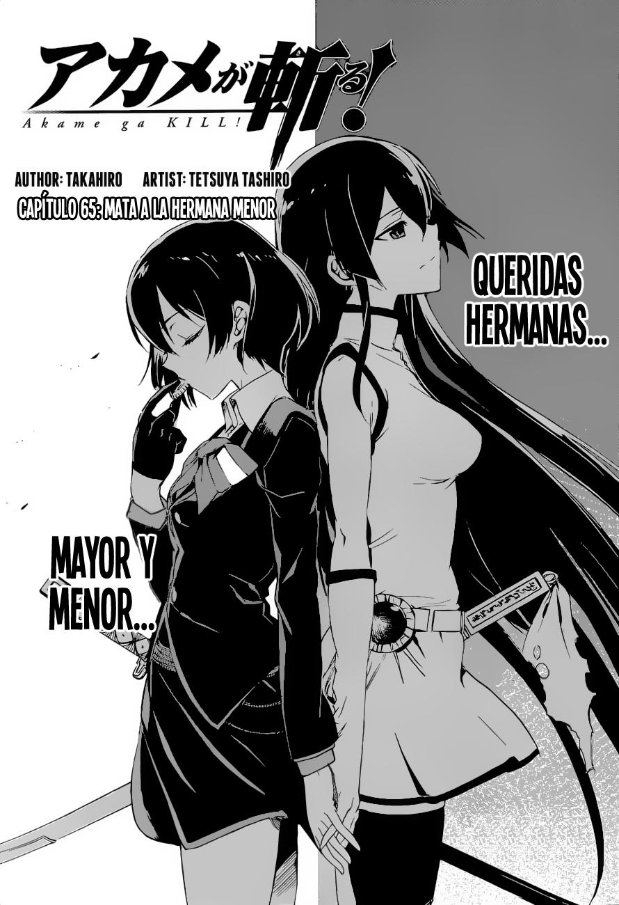 Akame ga Kill! Capítulo 64 - Manga Online