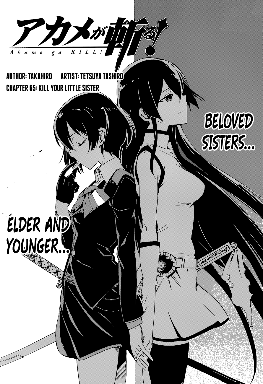 Akame ga Kill!  Manga 