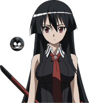 Akame by bestbt-d8zw5xb (1).png