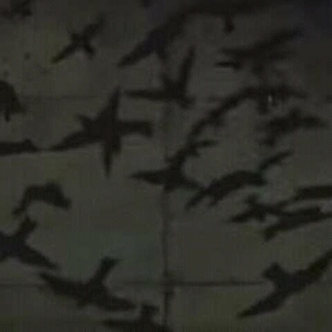 Crow Clone Akatsuki Ku Wiki Fandom