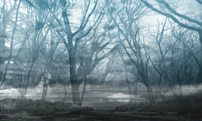 Primate Forest - 精霊たちの棲む森 A1 Primate Forest - 精霊たちの棲む森 A1 Primate Forest - 精霊