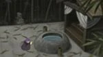 Portal a Konoha