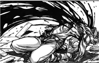 Hans herido por sus batalla con Dianeira