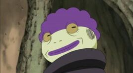 Shima sage