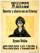 El cartel de Ayame