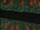 Clan Nara