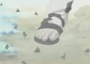 Makibishi2