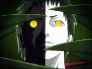Zetsu by boing paradise