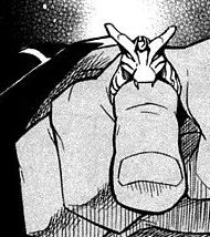 Shirokajiki
