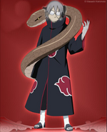 Stein en akatsuki