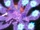 Atuendo Majestuoso: Susanoo