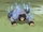 Arte Ninja imitación de Bestia: Jutsu en Cuatro Patas