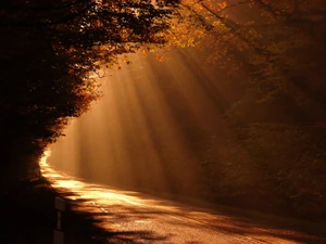 Camino-al-amanecer