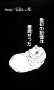 Shin-Ah en la portada del capítulo 21