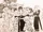 Five Stars of Xing
