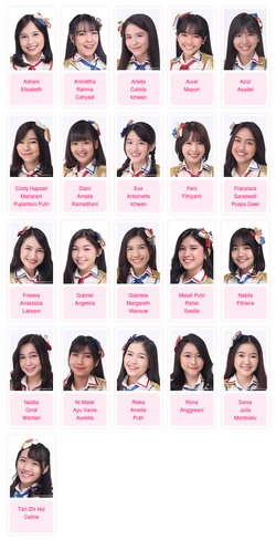 History Team J Akb48 Wiki Fandom