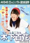3rd Senbatsu Election (2011)