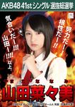 7th Senbatsu Election (2015)