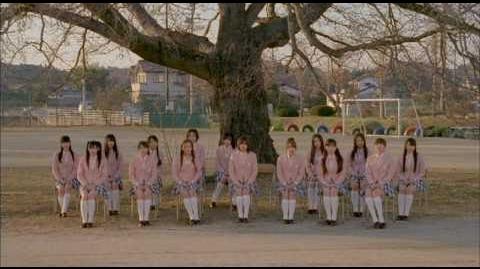 【MV】 桜の木になろう ダイジェスト映像 AKB48 公式