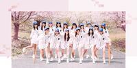 SNH4827thPromo