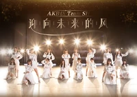 AKB48TeamSH4thEPPromo1