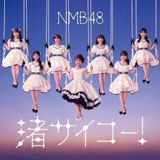 NMB4828thC