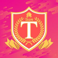 TeamT Logo 2018