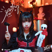 INDY CAMP Project Panda Vinyl
