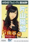 2nd Senbatsu Election (2010)