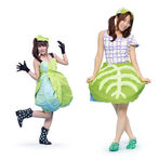 Cabbage - Takahashi Minami