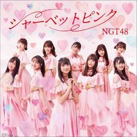 NGT48 シャーベットピンク 10枚 イベント参加券 シリアルコード
