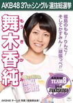 6th Senbatsu Election (2014)