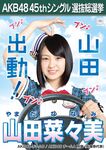 8th Senbatsu Election (2016)
