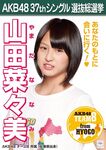 6th Senbatsu Election (2014)