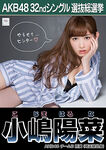 5th Senbatsu Election (2013)