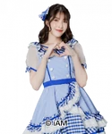 Gingham Check (2023)