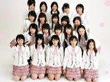 Sakura no Hanabiratachi (Song)
