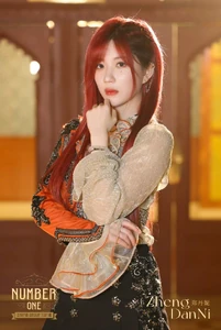 Zheng DanNi