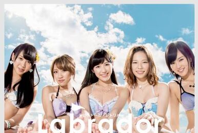 AKB48 Group Request Hour Setlist Best 50 2020 | AKB48 Wiki
