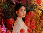 Miyawaki Sakura BLOOMIZ I Will